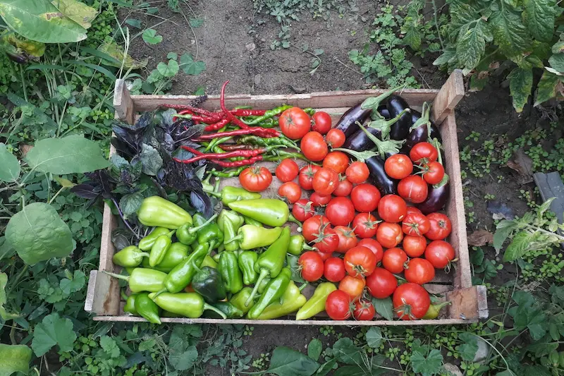 La provincia impulsa sus sistemas productivos ecol�gicos desde las comunas