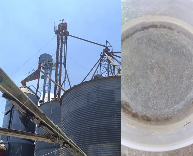 Renuevan reclamos por una arrocera que contamina