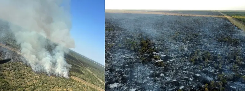 Incendio en un bosque nativo impenetrable de estancia El Durazno en Villaguay