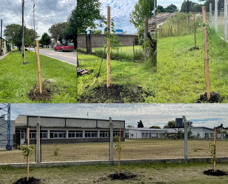 Programa 1.000 �rboles para Villaguay