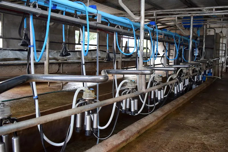 En Expoagro, la provincia anunci� cr�ditos con tasa bonificada a productores y pymes