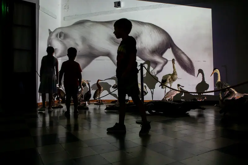 El Museo Serrano invita a conocer su Reserva T�cnica