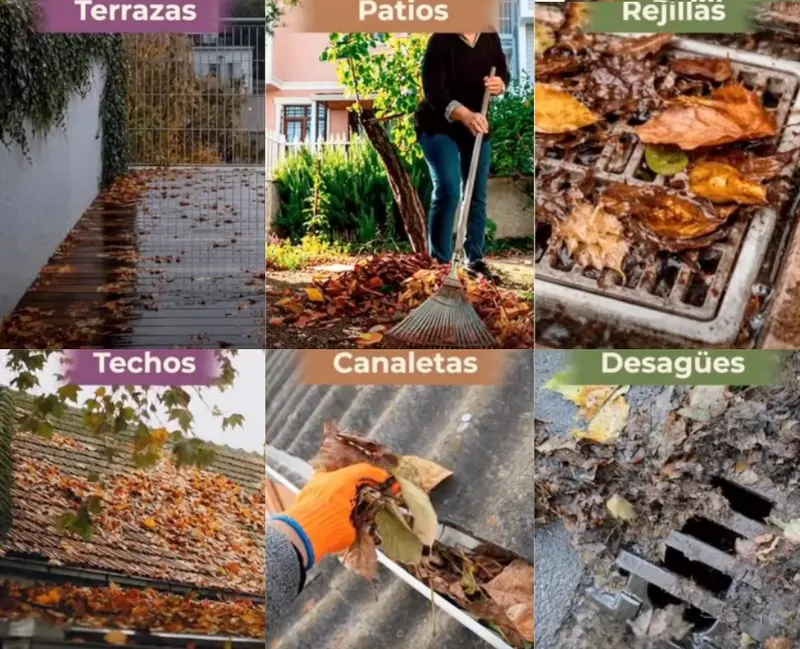 Oto�o: temporada de ca�da de hojas