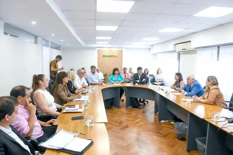 Licencias por adopci�n: El proyecto de la diputada Mariana Bentos con dictamen favorable en el Senado