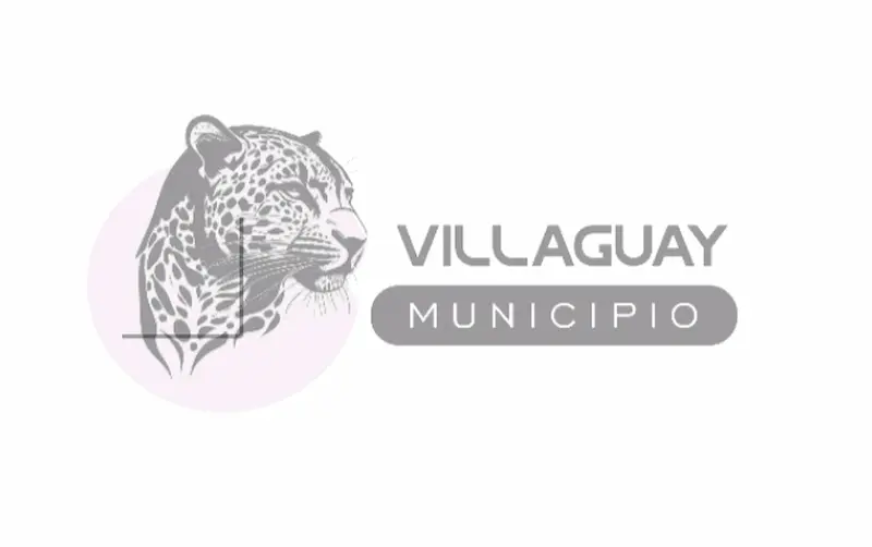 LICITACION PUBLICA N�:05/2026