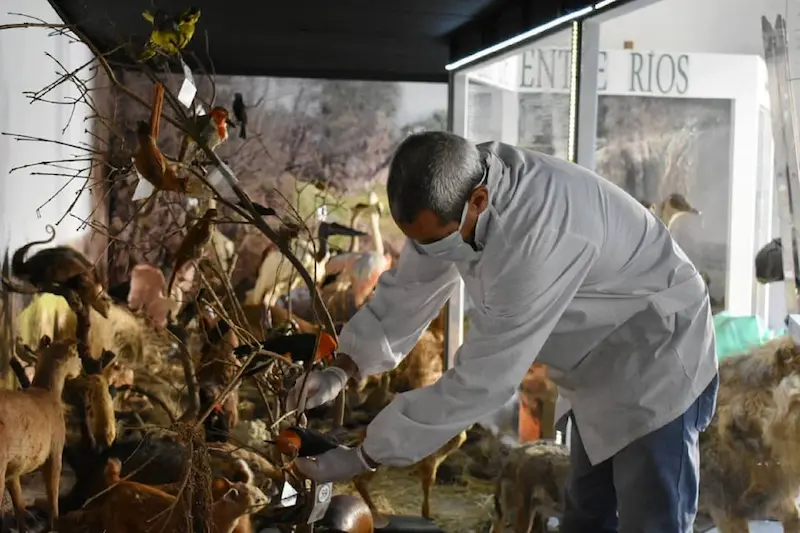 El Museo Serrano permanecer� cerrado al p�blico por tareas de conservaci�n preventiva de sus colecciones