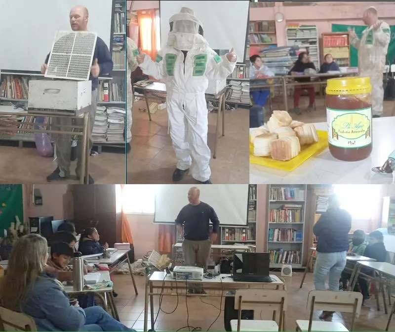 La escuela N�40 lleva adelante el proyecto Salvemos a las abejas