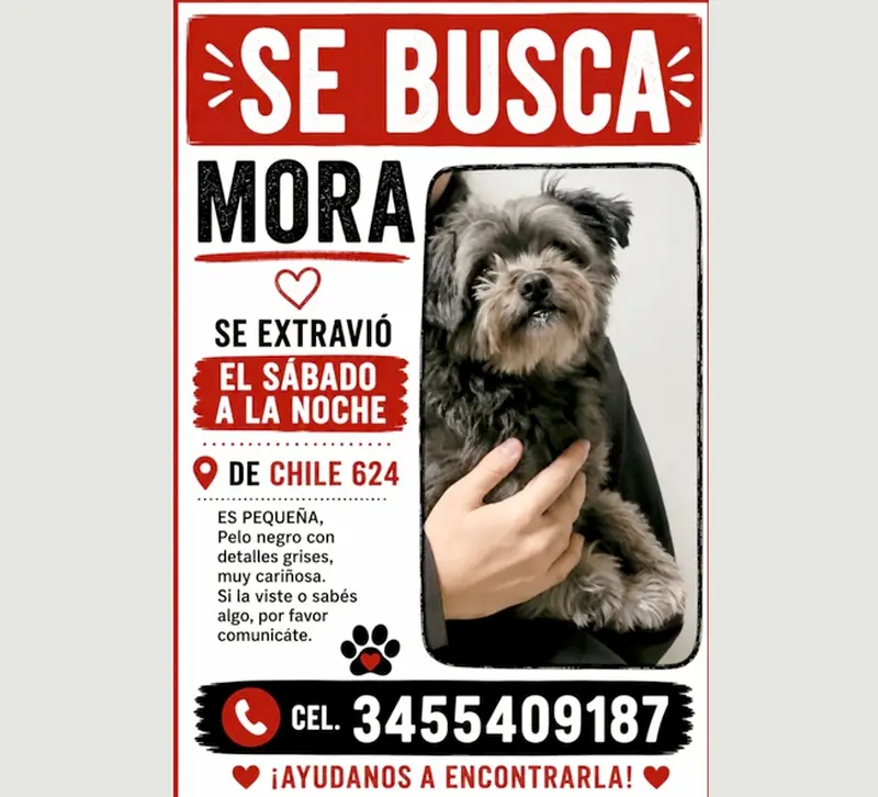 Se busca a Mora, ayudanos a encontrarla