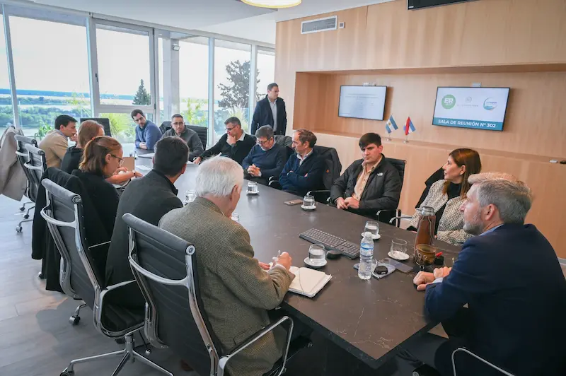 El gobierno provincial gestionar� ante Naci�n un alivio en las tarifas el�ctricas para el sector foresto-industrial