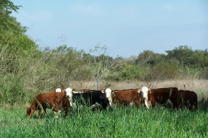 El Gobierno de Entre R�os recuper� 124.000 hect�reas de tierras fiscales y gener� nuevos ingresos para la provincia