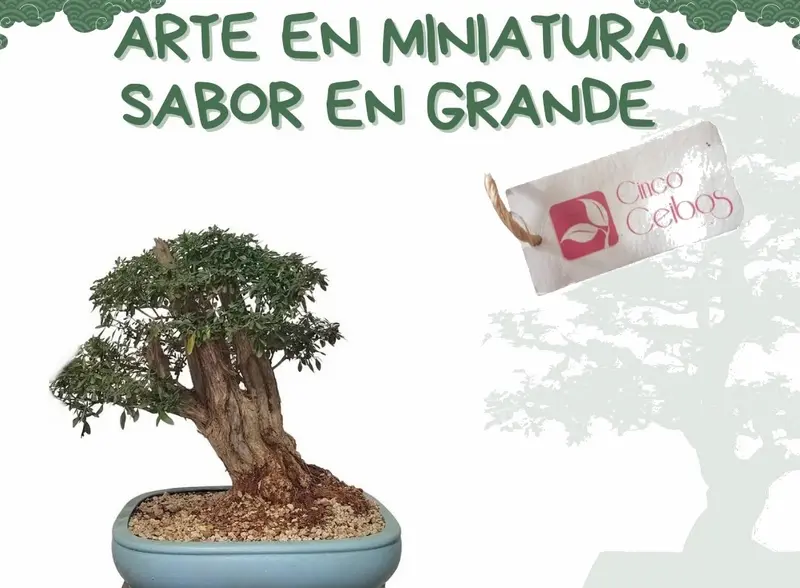 Arte en miniatura, sabor en grande. Una experiencia de vino y bonsai
