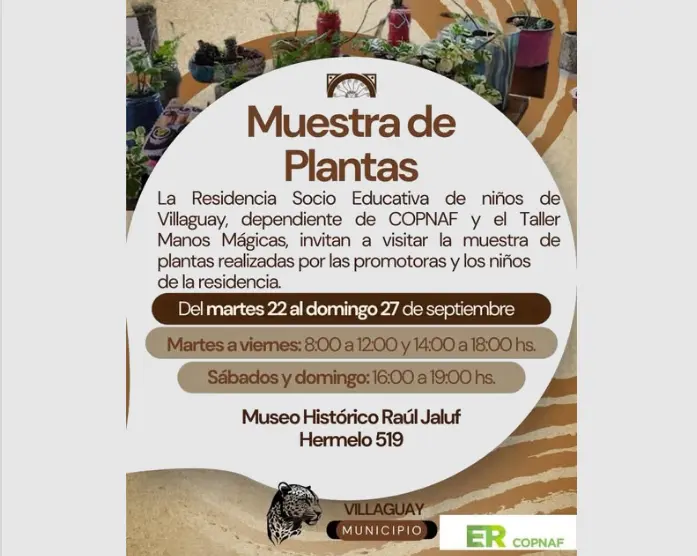 Muestra de plantas en el museo