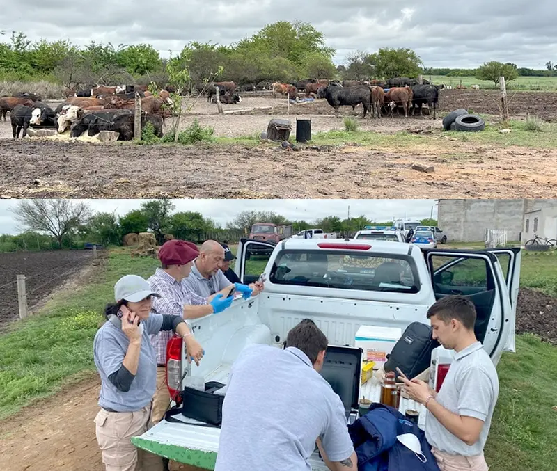 Operativo conjunto permiti� detectar graves irregularidades ambientales, sanitarias y de bienestar animal en un predio rural