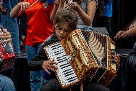 DAgostino valor ejes de accin que consideran la Cultura como derecho esencial