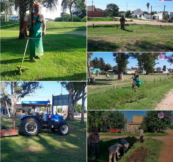 Tareas del personal municipal en distintos sectores de la ciudad
